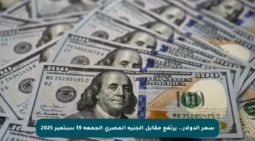 سعر الدولار.. يرتفع مقابل الجنيه المصري الجمعة 19 سبتمبر 2025